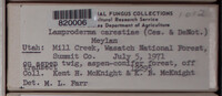 Image Associated With the Occurence